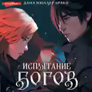 Постер книги Испытание богов