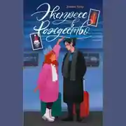 Постер книги Экспресс в Рождество