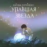 Постер книги Упавшая звезда