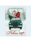 Юлия Набокова - Успеть до Нового года