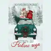 Постер книги Успеть до Нового года