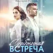 Постер книги Судьбоносная встреча