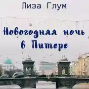 Постер книги Новогодняя ночь в Питере