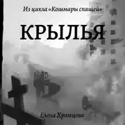 Постер книги Крылья