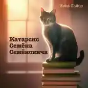 Постер книги Катарсис Семёна Семёновича