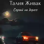 Постер книги Случай на дороге