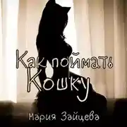 Постер книги Как поймать кошку