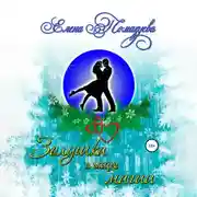 Постер книги Золушка в мире магии