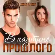 Постер книги В паутине прошлого