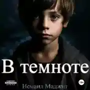Постер книги В темноте