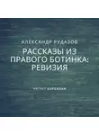 Александр Рудазов - Ревизия