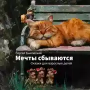 Постер книги Мечты сбываются
