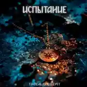 Постер книги Испытание