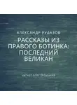 Александр Рудазов - Последний великан