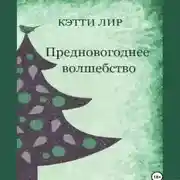 Постер книги Предновогоднее волшебство