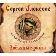 Постер книги Звездные раны