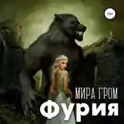Постер книги Фурия