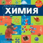 Постер книги Химия