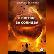 Постер книги В погоне за солнцем