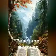 Постер книги Заветное желание
