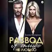 Постер книги Развод. Я больше не люблю