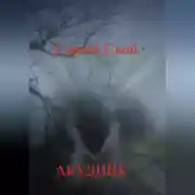 Постер книги Акудник