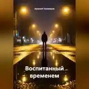 Постер книги Воспитанный временем
