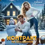 Постер книги Контракт на праздники