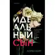 Постер книги Идеальный сын