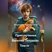 Постер книги Приключения Василия Петухова Том IV