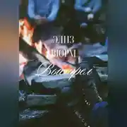 Постер книги Выстрел