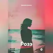 Постер книги Розэ