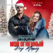 Постер книги Мой огненный Дед Мороз