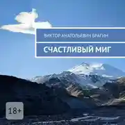 Постер книги Счастливый миг
