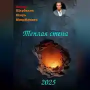 Постер книги Теплая стена