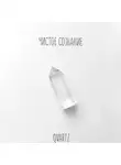 Quartz Y - Чистое сознание