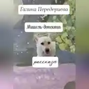 Постер книги Мишель-детектив