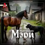 Постер книги Мэри