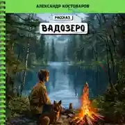 Постер книги Вадозеро