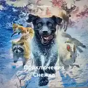 Постер книги Приключения Снежка