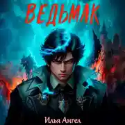 Постер книги Ведьмак