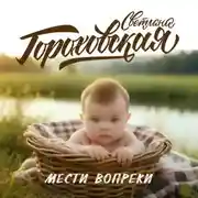 Постер книги Мести вопреки