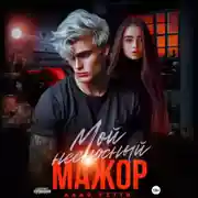 Постер книги Мой несносный мажор