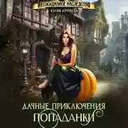 Постер книги Дачные приключения попаданки