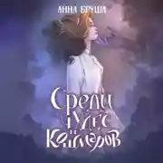 Постер книги Среди чудес и кошмаров