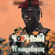 Постер книги Чорный полковник
