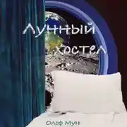 Постер книги Лунный хостел