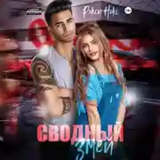 Постер книги Сводный Змей