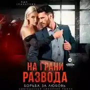 Постер книги На грани развода. Борьба за любовь