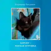Постер книги Барсик – мягкая игрушка